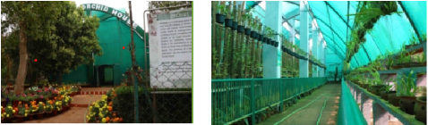 Orchid Conservation & Awareness Center at State Botanical Garden, Nandankanan,