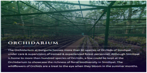 Orchidarium rehabilitation cum conservation Center at Guruguria, Similipal